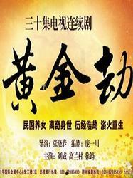 中国黄金爆料视频大全集,揭秘行业内幕与市场动态